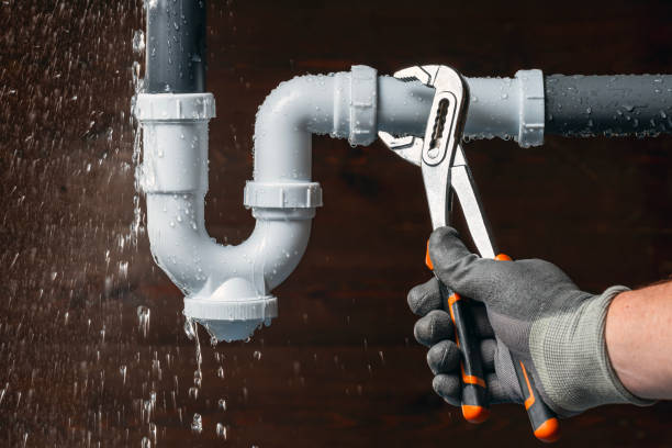 Professional Plumbing technician working in Allenton, MI